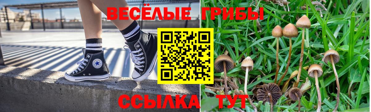 Псилоцибиновые грибы мицелий  как найти наркотики  Кропоткин  Галлюциногенные грибы прущие грибы  Вход с VPN 